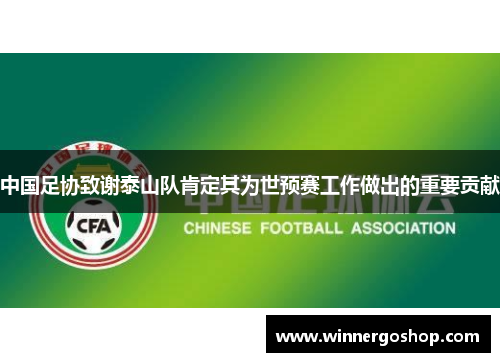中国足协致谢泰山队肯定其为世预赛工作做出的重要贡献 中国足协致谢泰山队肯定其为世预赛工作做出的重要贡献
